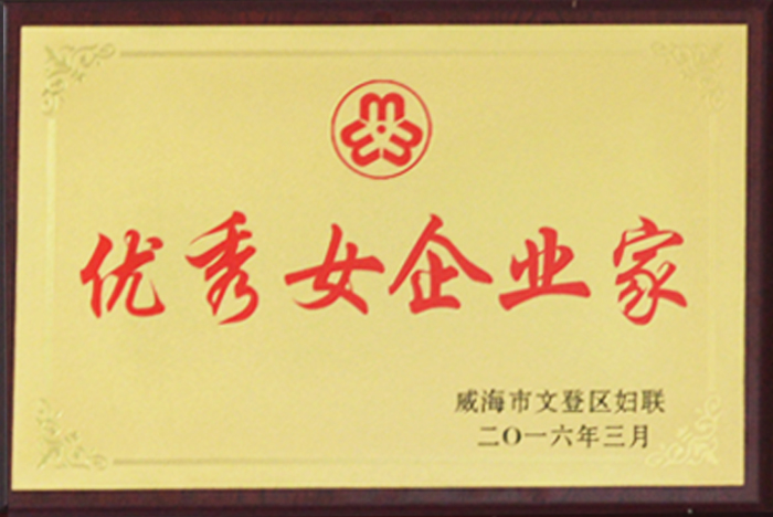 优秀女企业家(图1)